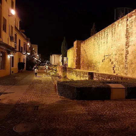 Apartamento Junto A La Mezquita